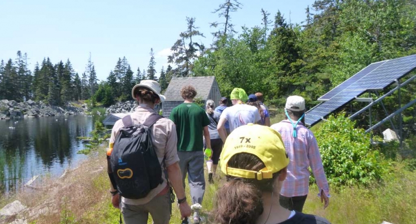 A group of people walk between a small body of water and some solar panels. 